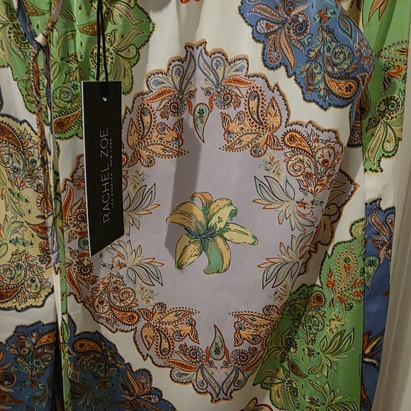 Rachel Zoe Multicolor Paisley Pants Satin - Picture 8 of 13